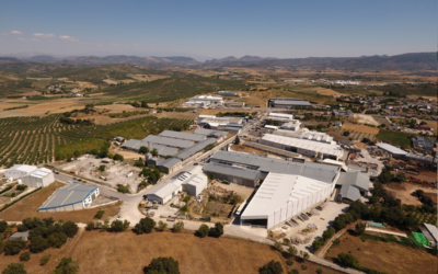 ¿Puede una industria triunfar a nivel internacional desde una aldea? En Jaén, sí