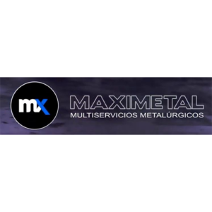 Logo Maxi metal