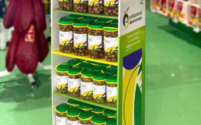 Aceitunera Jiennense, elaboración artesanal de aceitunas y encurtidos