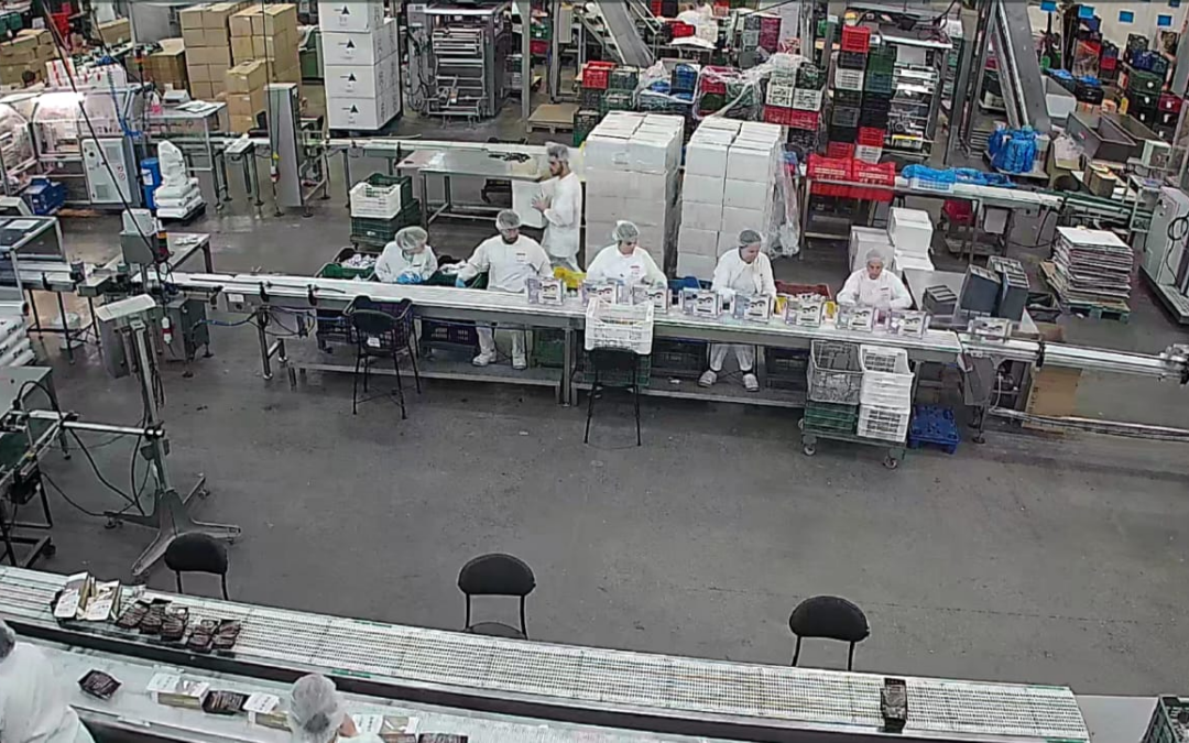 Doña Jimena producirá esta campaña alrededor de 1,5 millones de kilos de productos navideños en su planta de Alcaudete