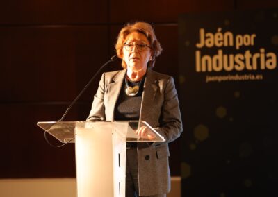 Encuentro Provincial Jaén por Industria