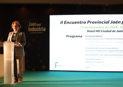 Encuentro Provincial Jaén por Industria