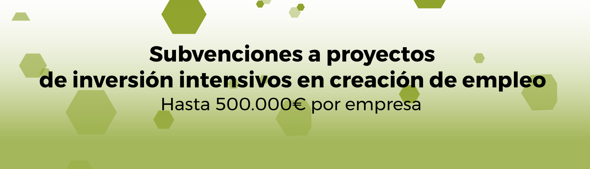 Banner Subvenciones a proyectos de inversión intensivos en creación de empleo