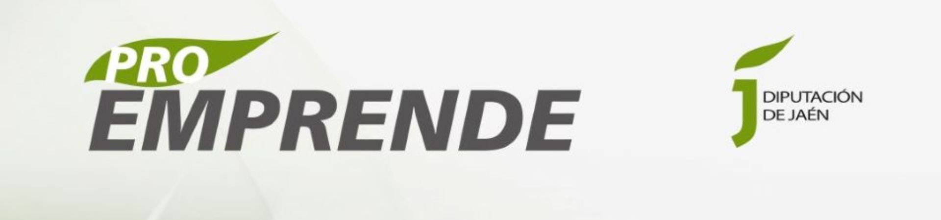 Proemprende impulsado por la Diputación