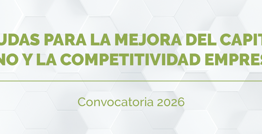 Ayudas para la mejora del capital humano y la competitividad empresarial