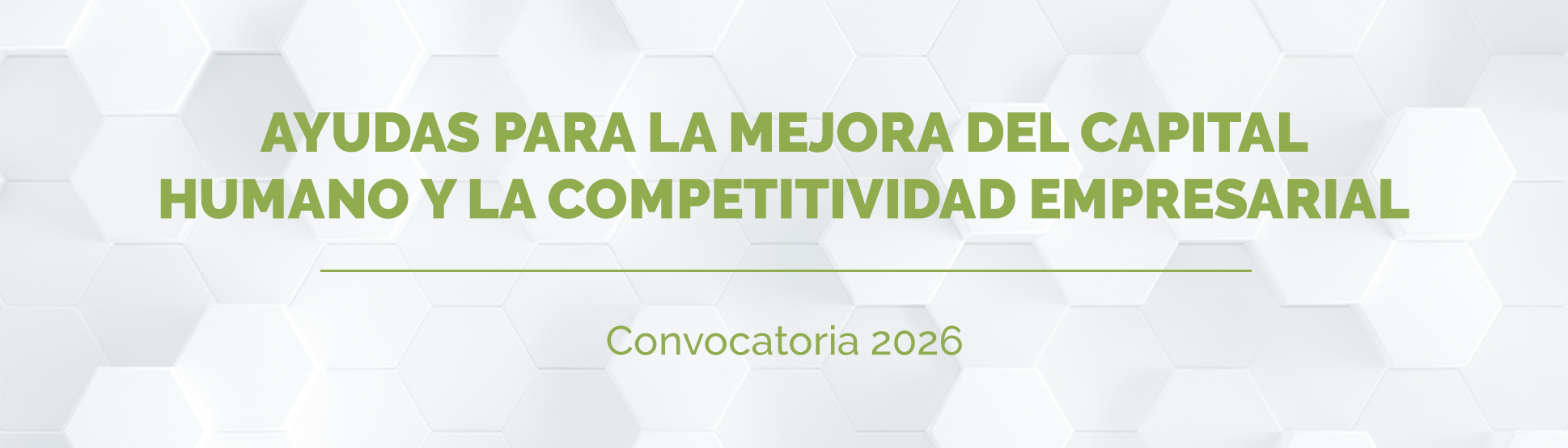 ayudas-capital-humano_banner
