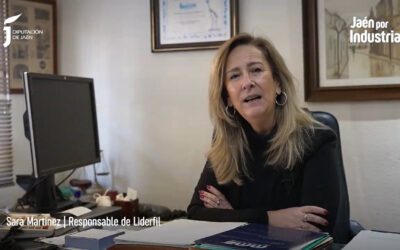 Liderfil