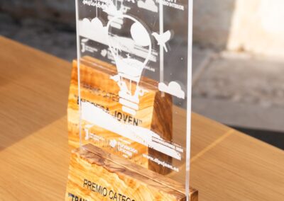entrega de los premios Emprende e Innova 2026